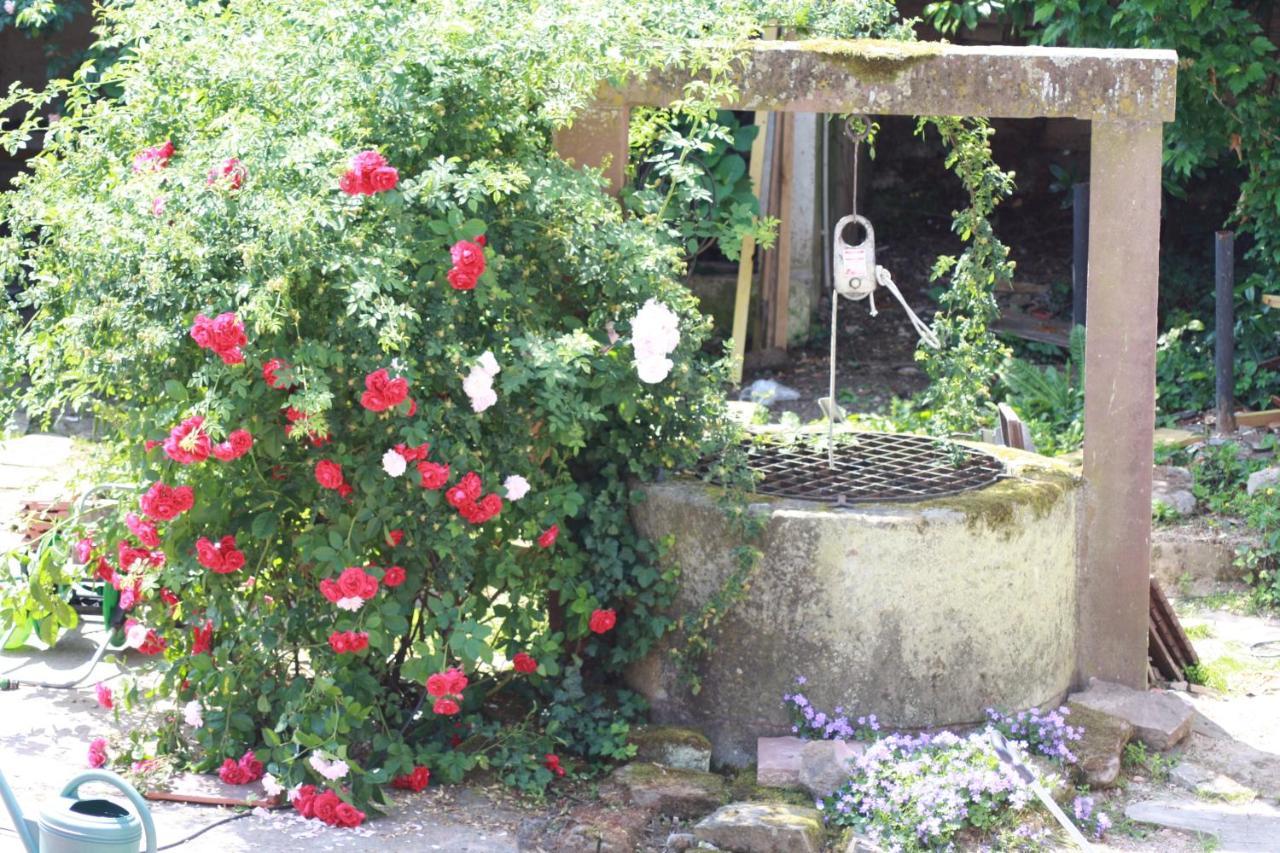 La Grange Aux Coqs Bed & Breakfast Ittenheim Екстериор снимка